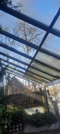 Das ProClean Team bei der Arbeit