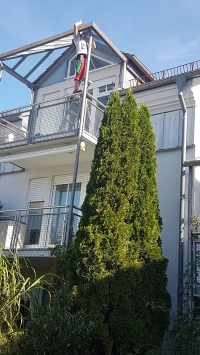 Das ProClean Team bei der Arbeit